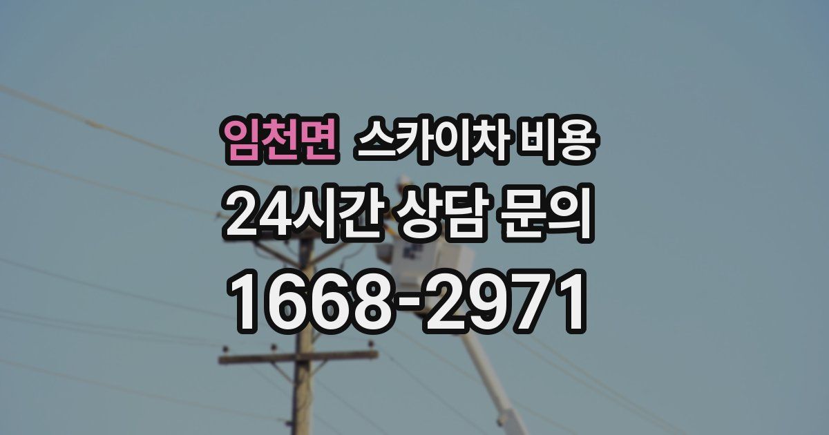 임천면 스카이차 비용