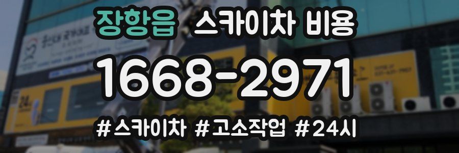 장항읍 스카이차 비용