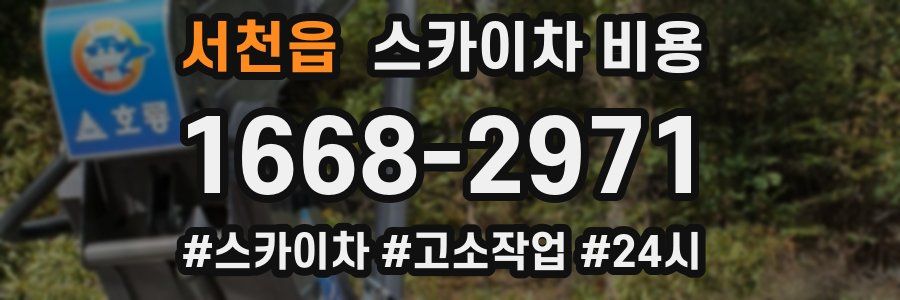 서천읍 스카이차 비용
