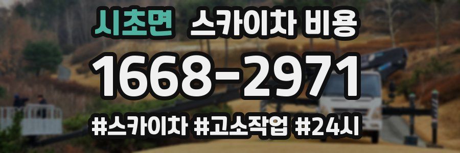 시초면 스카이차 비용