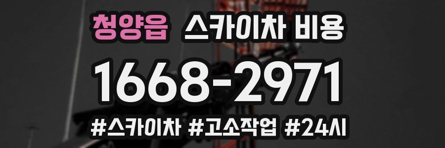 청양읍 스카이차 비용