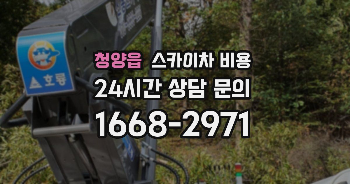 청양읍 스카이차 비용