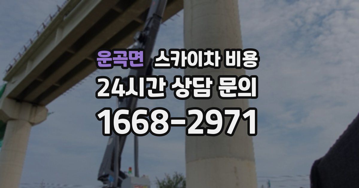 운곡면 스카이차 비용