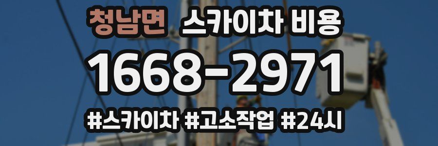 청남면 스카이차 비용