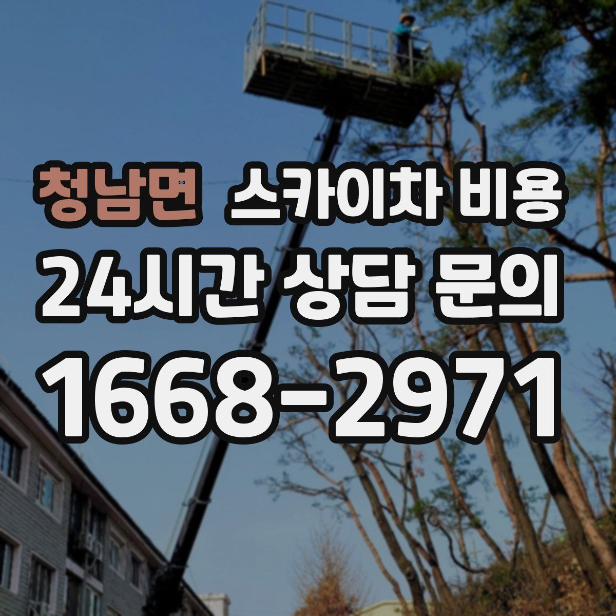 청남면 스카이차 비용