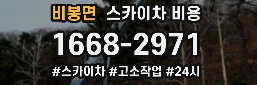 비봉면 스카이차 비용