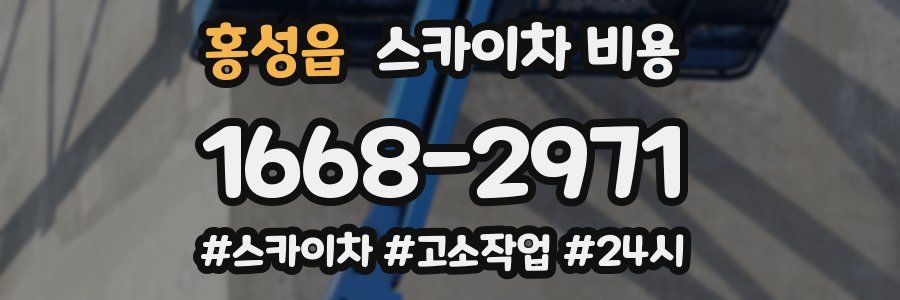 홍성읍 스카이차 비용