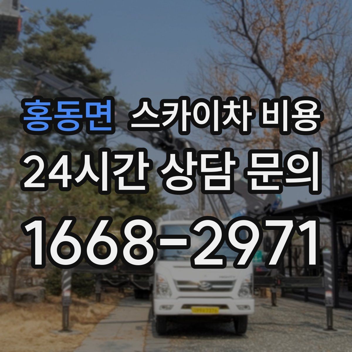홍동면 스카이차 비용 '포함'과 '별도' 항목을 구분하는 방법