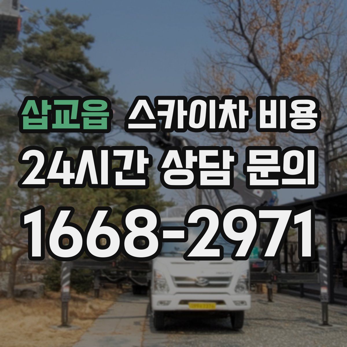 삽교읍 스카이차 비용