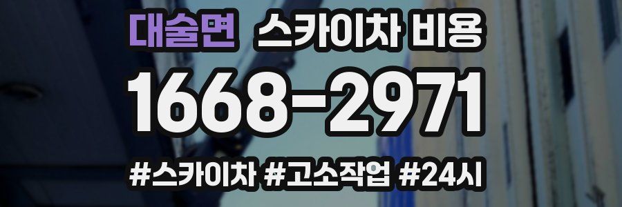 대술면 스카이차 비용