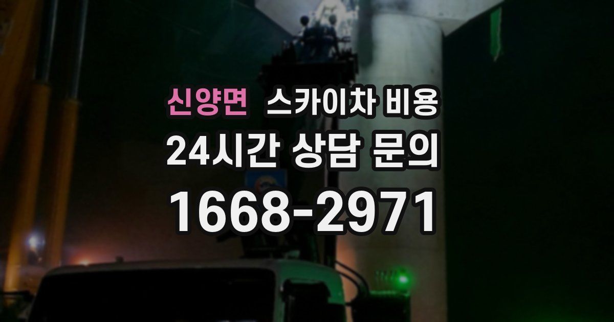 신양면 스카이차 비용