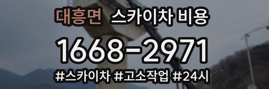 대흥면 스카이차 비용