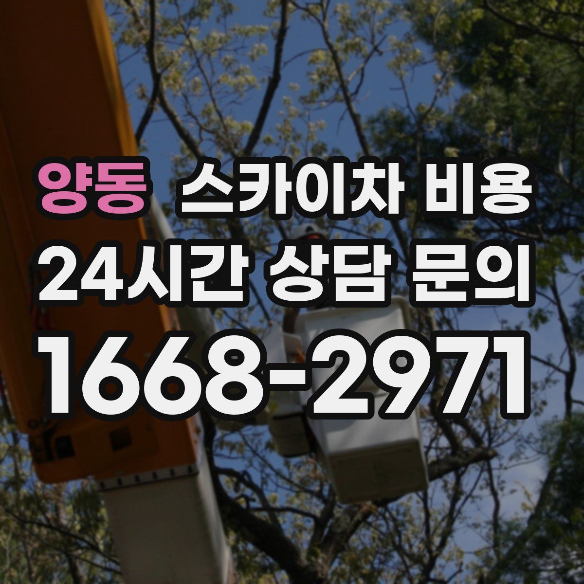 양동 스카이차 비용