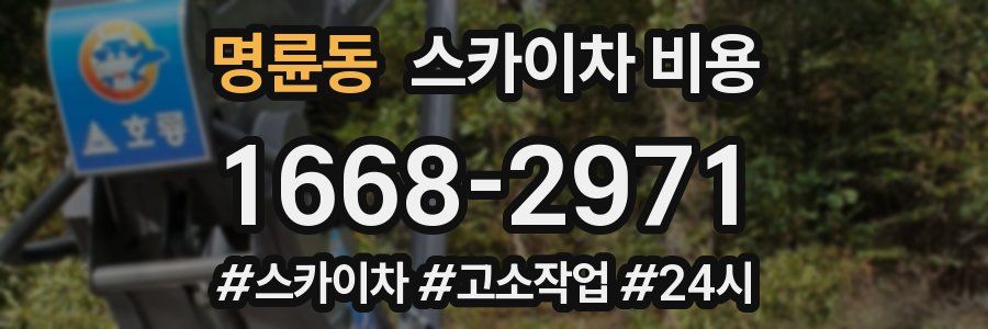 명륜동 스카이차 비용