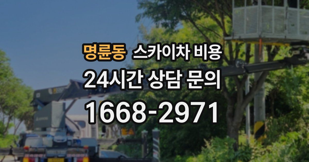 명륜동 스카이차 비용