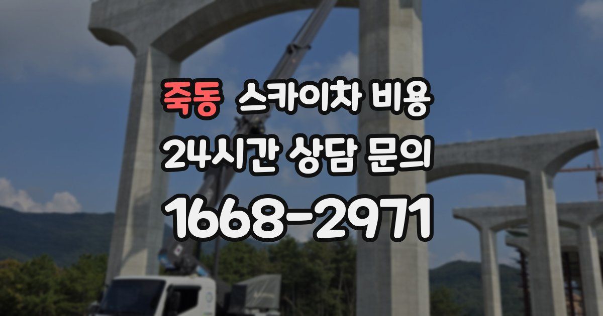 죽동 스카이차 비용