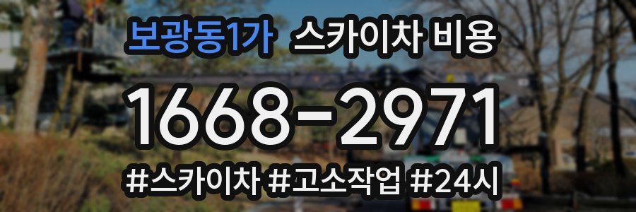 보광동1가 스카이차 비용