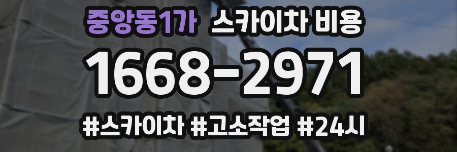 중앙동1가 스카이차 비용