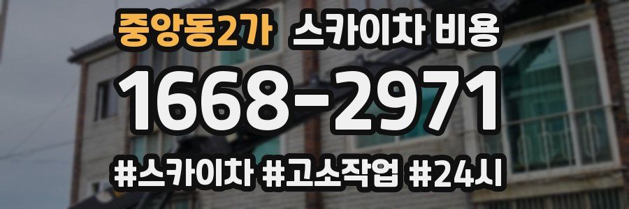 중앙동2가 스카이차 비용