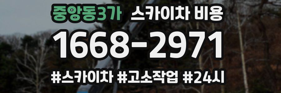 중앙동3가 스카이차 비용