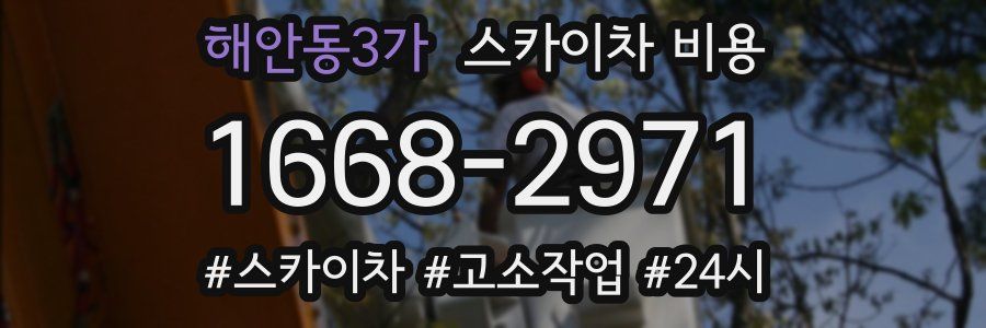 해안동3가 스카이차 비용