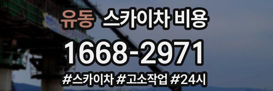 유동 스카이차 비용