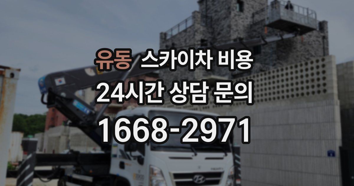 유동 스카이차 비용