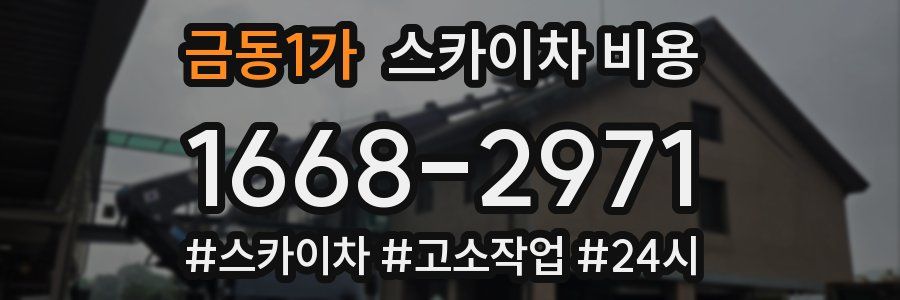 금동1가 스카이차 비용