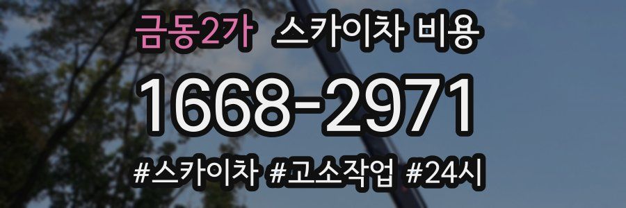금동2가 스카이차 비용