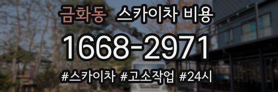 금화동 스카이차 비용