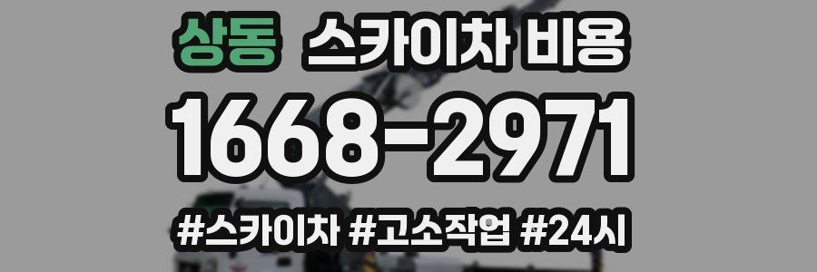 상동 스카이차 비용