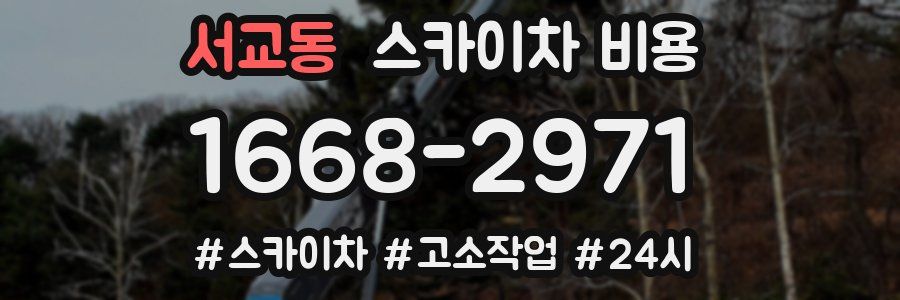 서교동 스카이차 비용