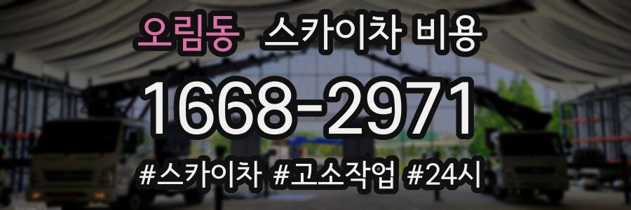 오림동 스카이차 비용