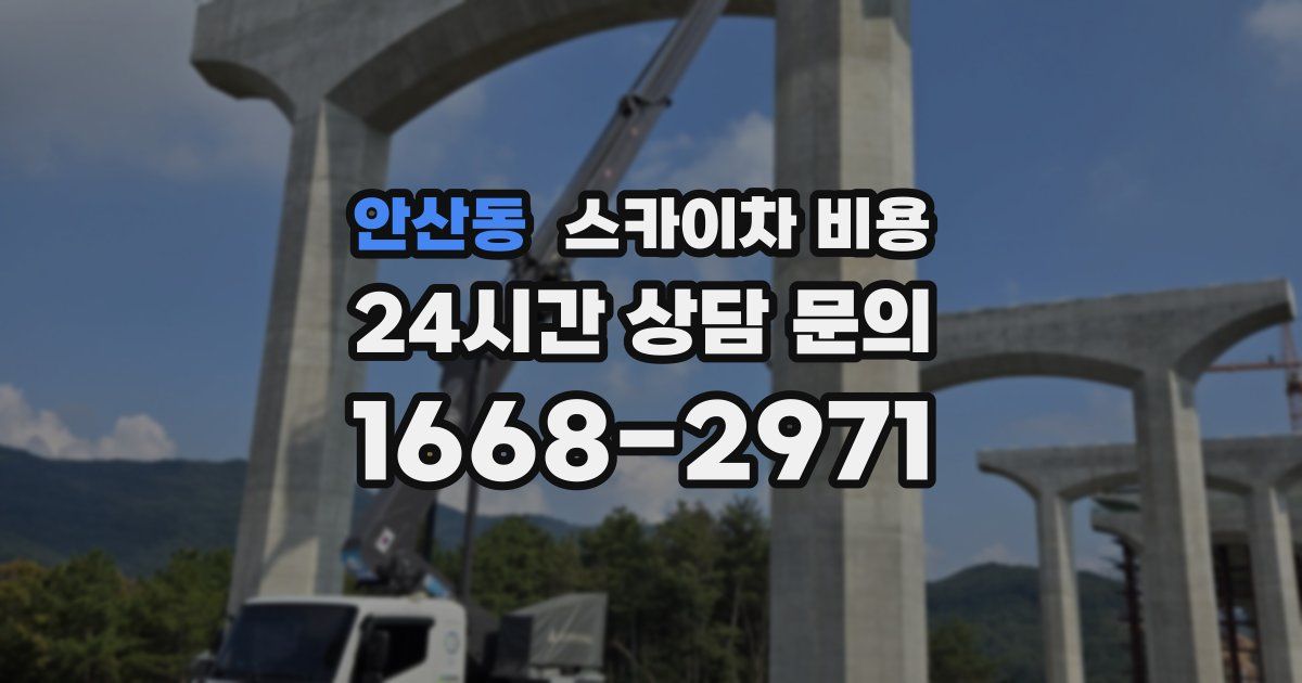 안산동 스카이차 비용