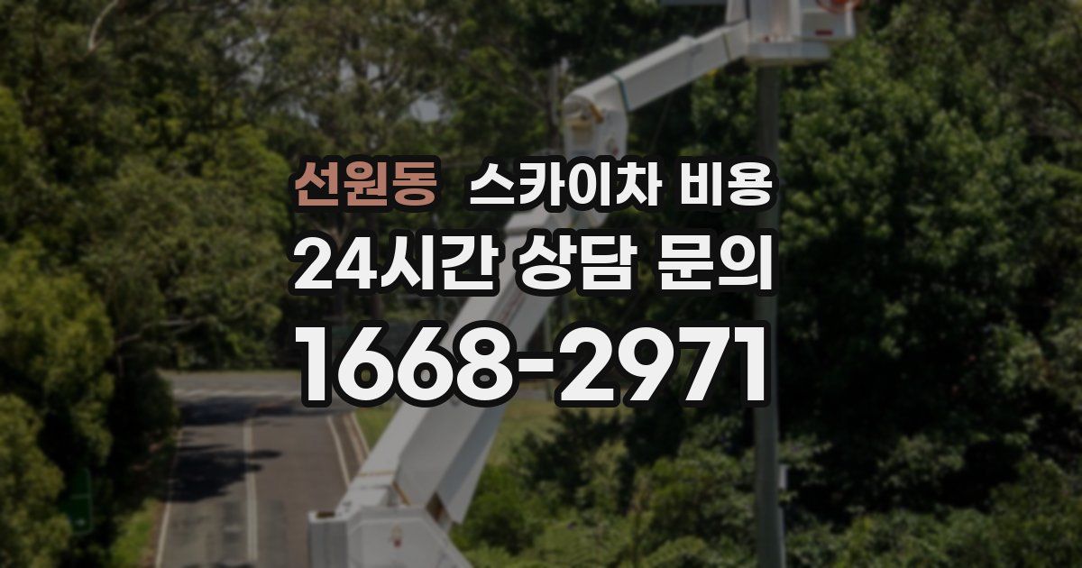 선원동 스카이차 비용