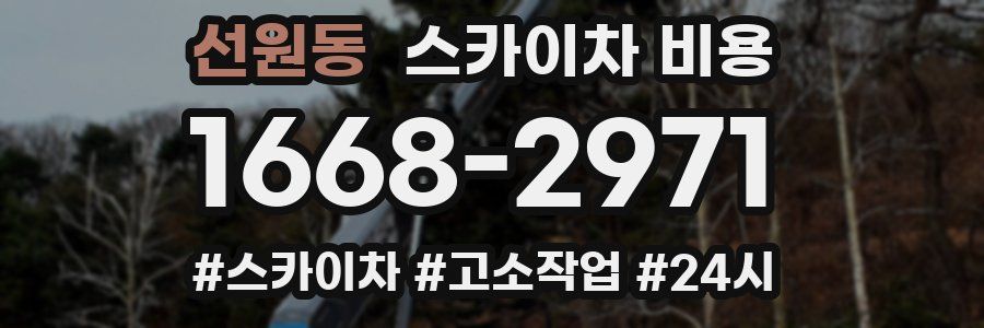 선원동 스카이차 비용