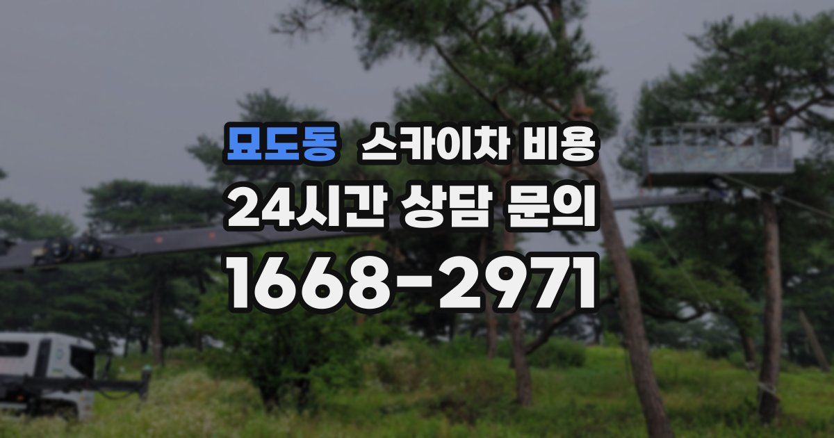 묘도동 스카이차 비용