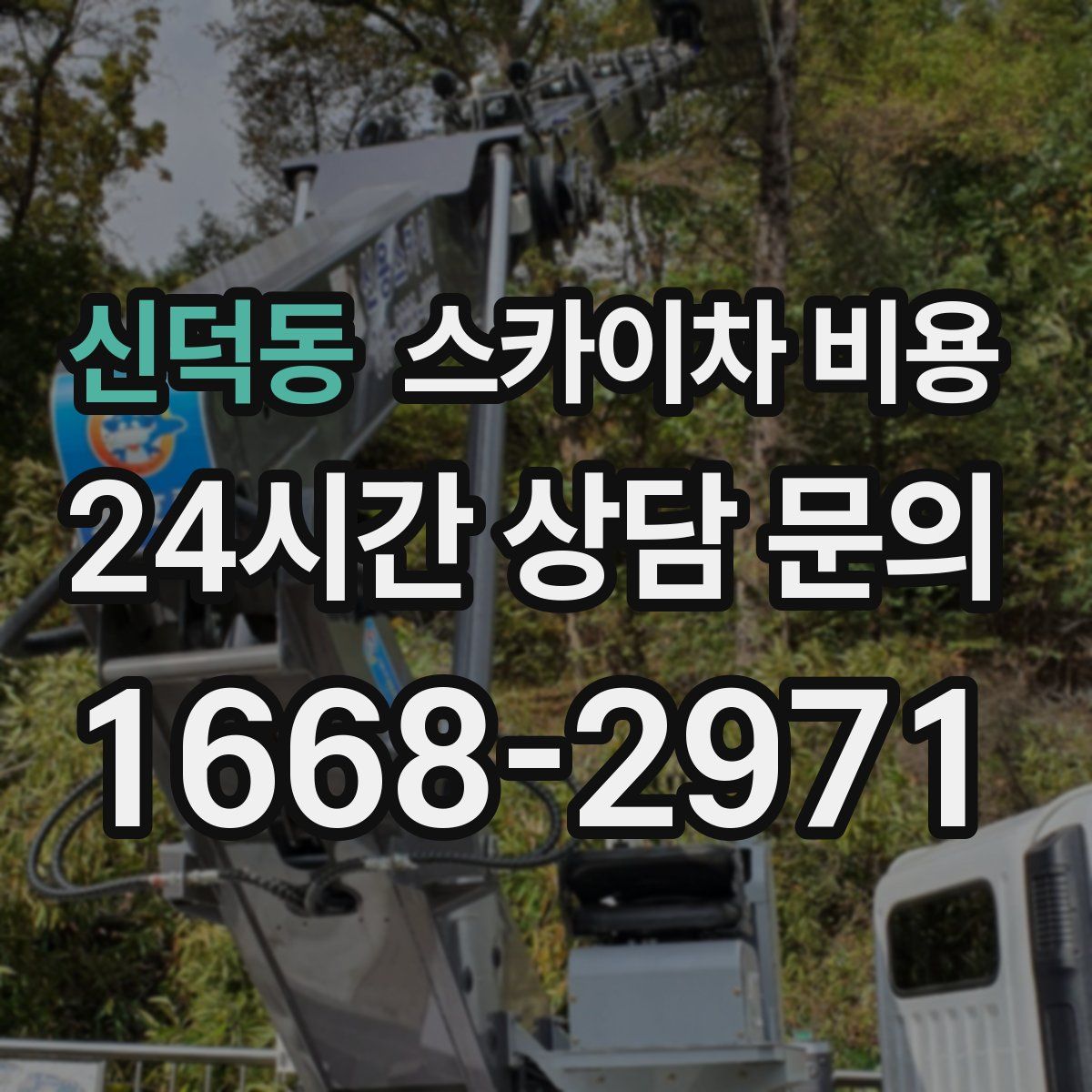 신덕동 스카이차 비용