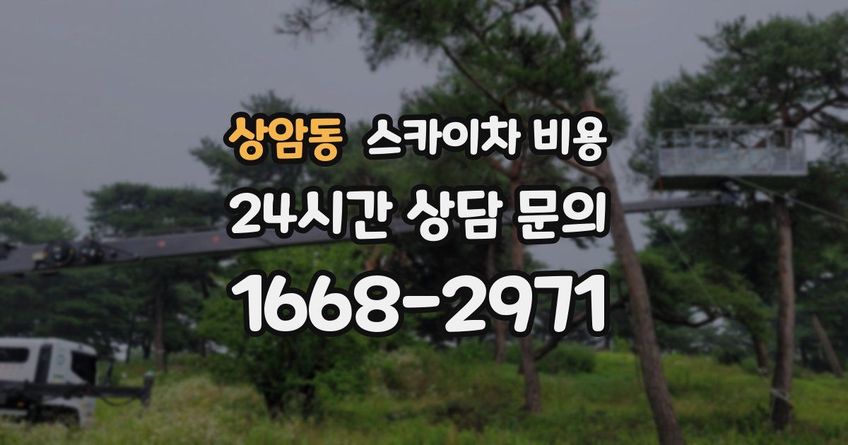 상암동 스카이차 비용