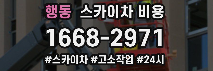 행동 스카이차 비용