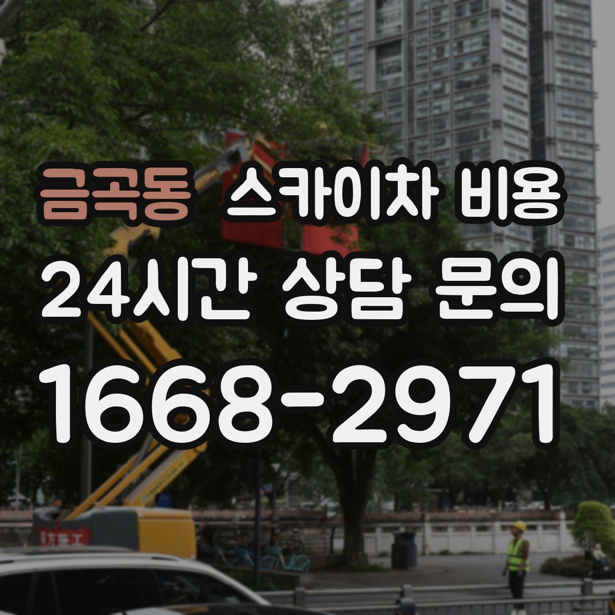 금곡동 스카이차 비용