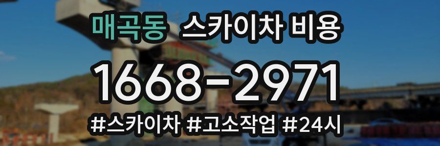 매곡동 스카이차 비용