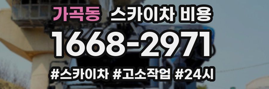 가곡동 스카이차 비용