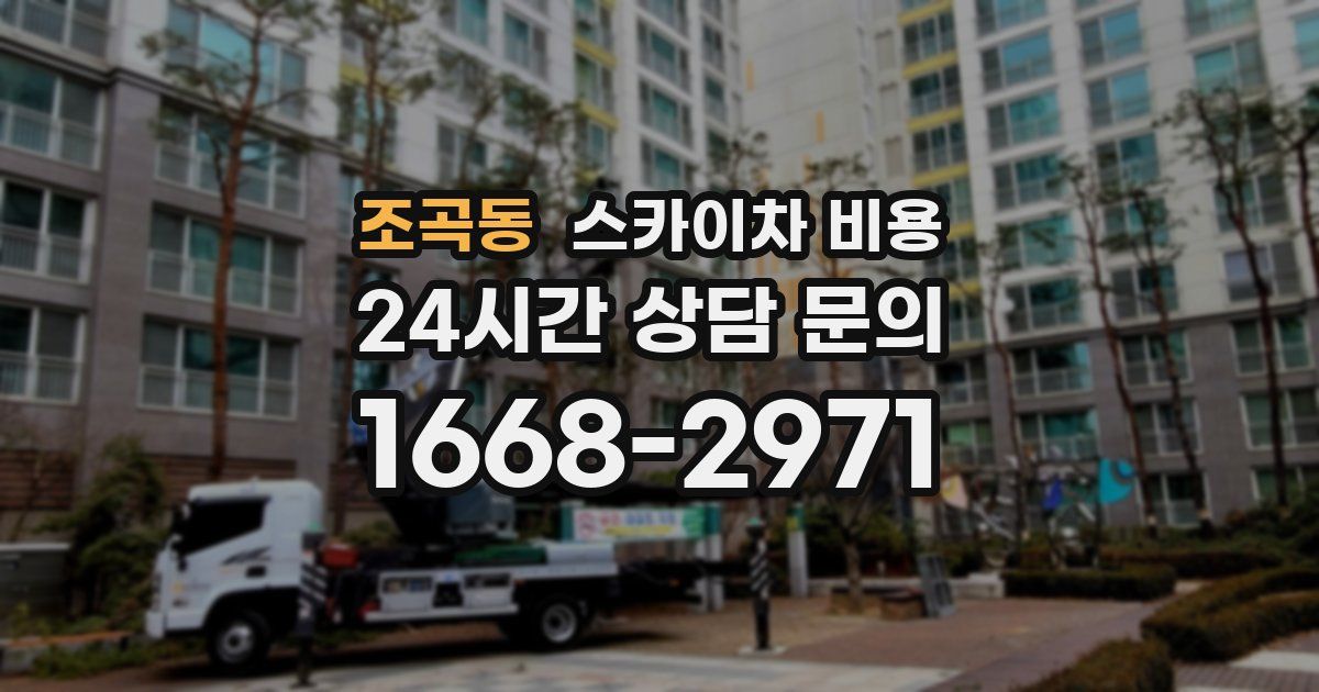 조곡동 스카이차 비용