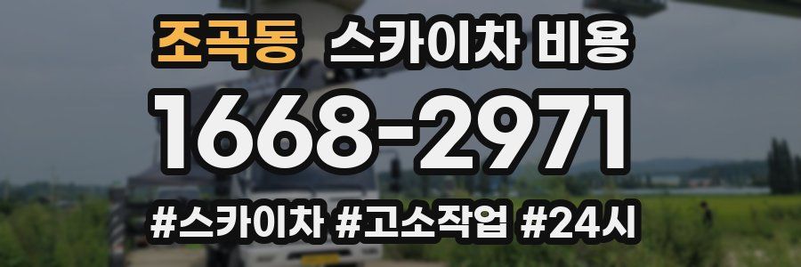 조곡동 스카이차 비용