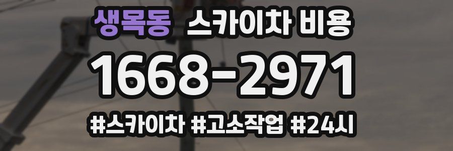 생목동 스카이차 비용