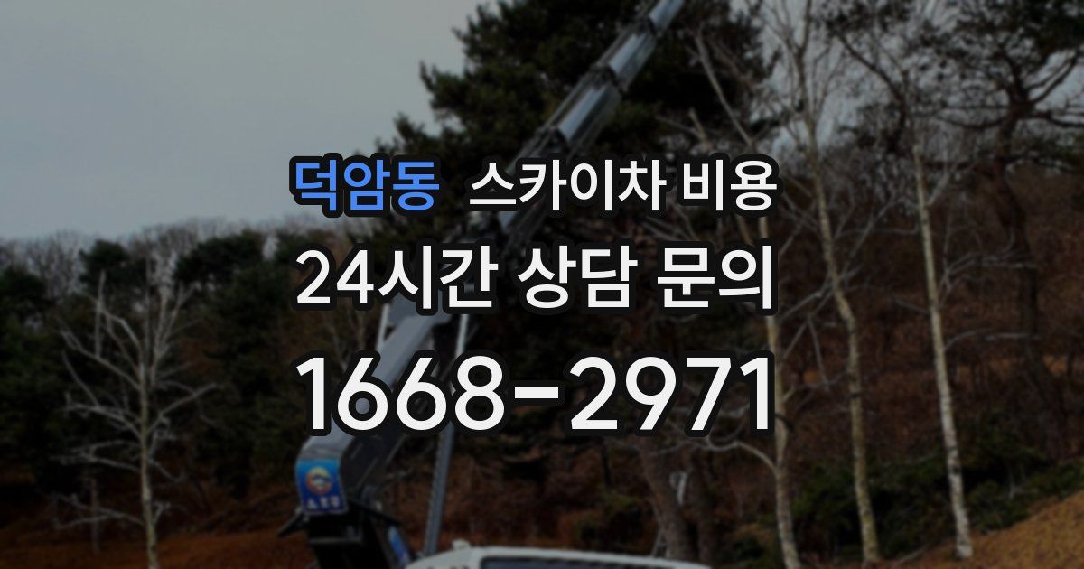 덕암동 스카이차 비용