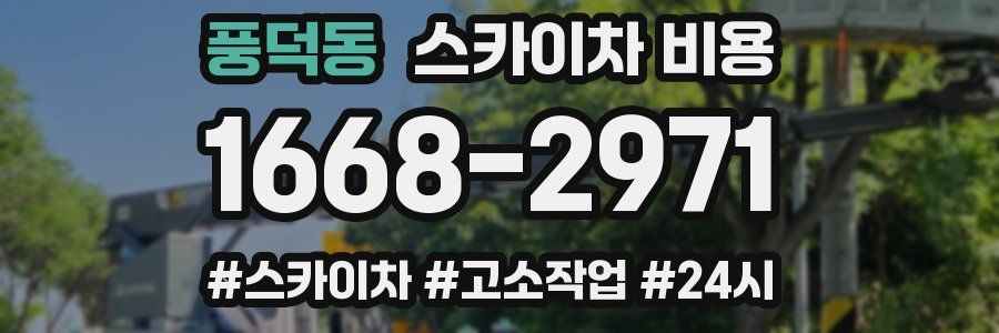 풍덕동 스카이차 비용