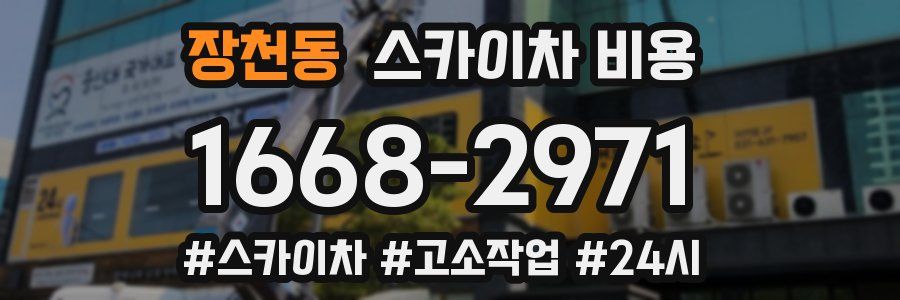 장천동 스카이차 비용