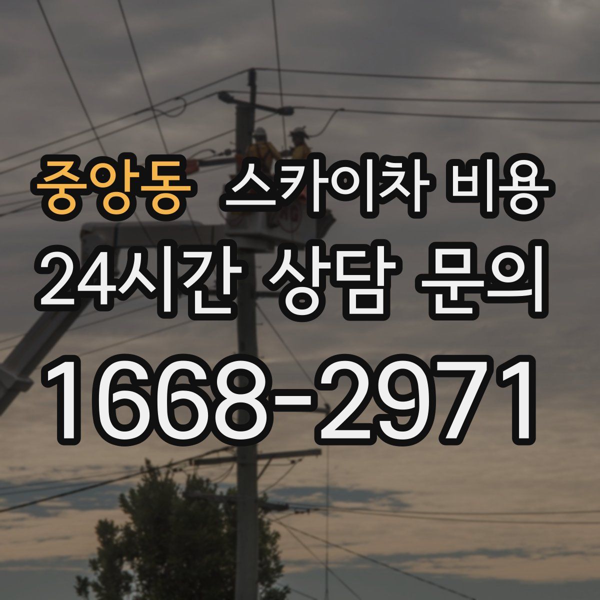 중앙동 스카이차 비용